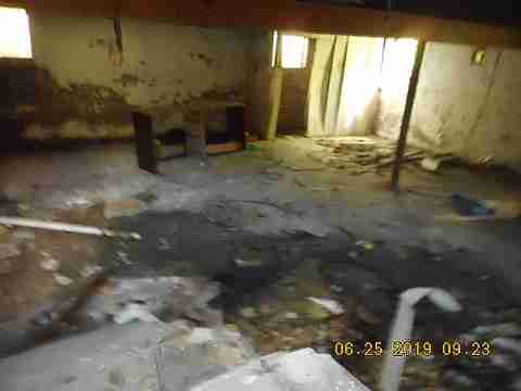 8732 Dexter (10)_m.jpg